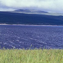Loch Shin