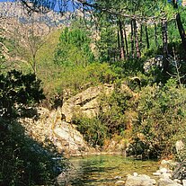 Wasser Bassin am Weg