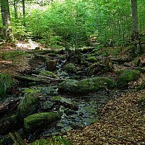 Mittelsteigbach