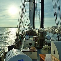 wieder auf der Zephyr nach Stralsund