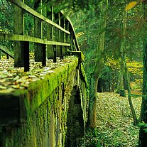 Brücke über die Kamnitz