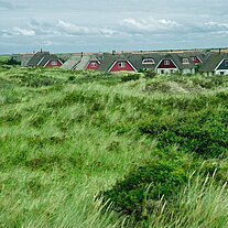 Ferienhäuschen mit Reetdach