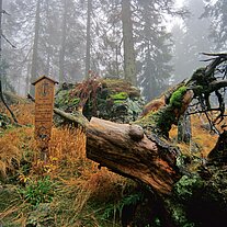 Marterl im Wald