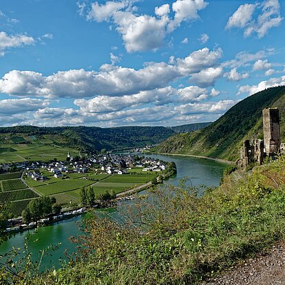 Burg Metternich mit Moseltal
