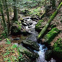 Großer Steinbach