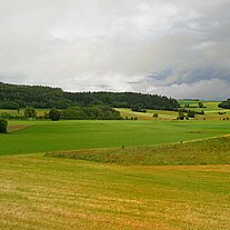 Blick zum Buch