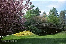 japanische Holzbrücke