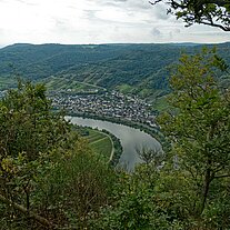 Blick vom Calmont auf die Mosel Blick vom Calmont auf die Mosel