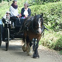 Pferdekutsche mit der Queen