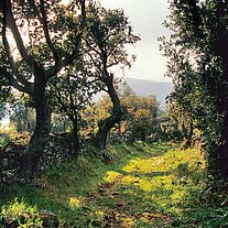 Kirchweg in Urtaca Kirchweg in Urtaca
