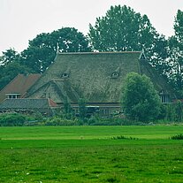 Reet gedeckter Hof