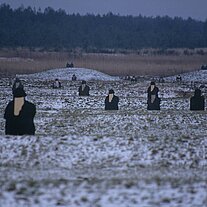Zielscheiben in der Landschaft