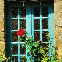 Fenster
