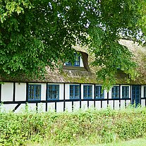 Reet gedecktes Haus Reet gedecktes Haus
