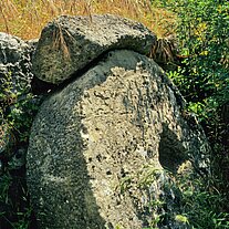 Mühlrad mit Getreide Mühlrad mit Getreide