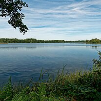 Inselteich an der Spree Inselteich an der Spree