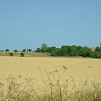 Felder und die Türme von Arkona