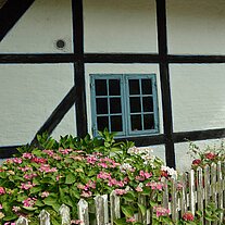 Gartenzaun mit Blumen