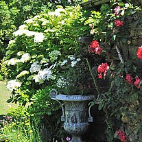 Garten auf Sark
