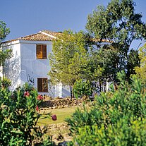Nachbarhaus Nachbarhaus