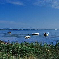 Boote mit Blick zum Dornbusch