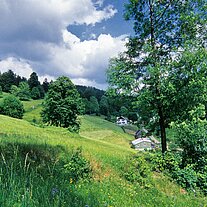 Falkenberg