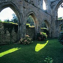 Abbaye de Beauport Hauptschiff Rasen