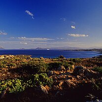 Blick in die Bucht von Olbia Blick in die Bucht von Olbia