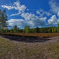 Heide Panorama bei Severloh