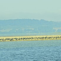 Vogelkolonien am Geller Haken