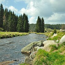 Rachelbach bei Rybarna