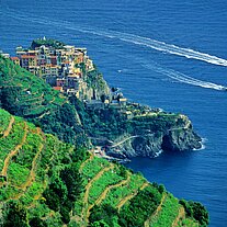Manarola Manarola