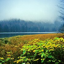 Der Rachelsee