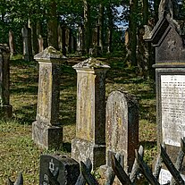 jüdischer Friedhof vor Burg Metternich