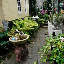 Hinterhof im Kuriositätenladen Hinterhof im Kuriositätenladen