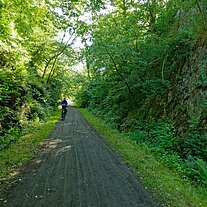Radweg durch die Wildnis Radweg durch die Wildnis
