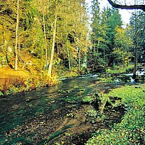 die Kamnitz