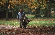 alter Mann mit Holz im Schubkarrn