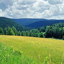 Blick ins Vydra Tal