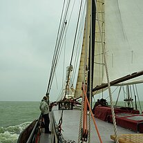 mit vollen Segeln nach Makkum