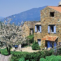 Haus in Val di Rustinu Haus in Val di Rustinu
