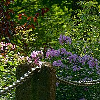 am Mühlgraben Kutzeburg