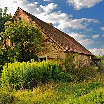 Die Natur holt sich alles wieder