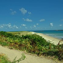 The Shell Beach