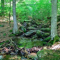 Mittelsteigbach