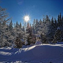 Hessenreuther Wald an der B299