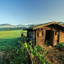 Hütte