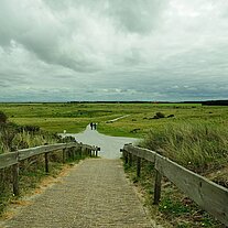 Weg durch die Dünen