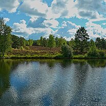 Aussichtspunkt am Angelbecksteich