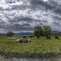 Wetterstimmung am Rheinspitz